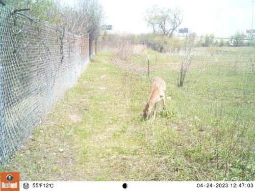 M2E79L211-211R382B320